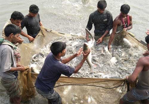 Step to create new employment in the fishery's sector of