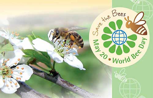 World Bee Day