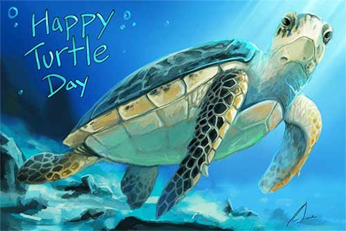 World Turtle Day