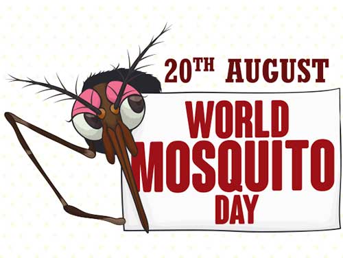 World Mosquito Day