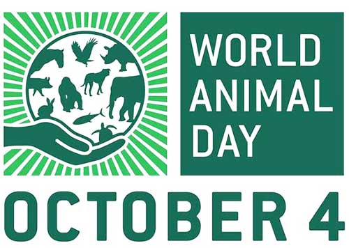 World Animal Day