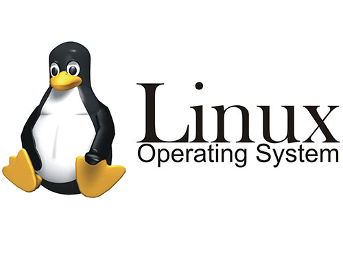 Linux kernel