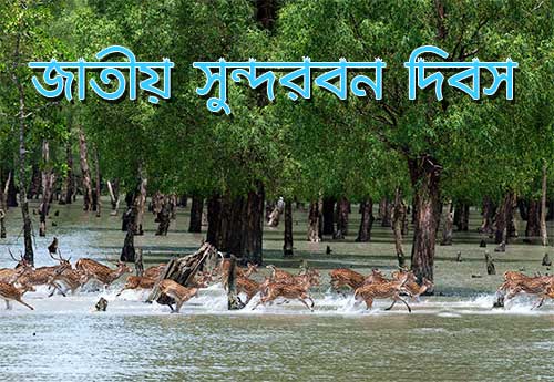 National Sundarbans Day