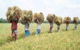 Farmers are being hampered for Continuous Blockade