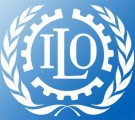 The ILO expected a comprehensive reform of labor